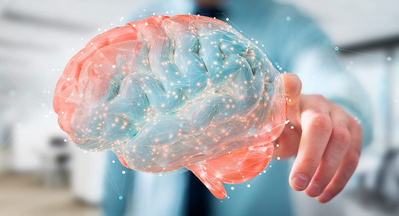 Cerebro representando las secuelas de los ataques epilépticos
